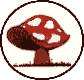 Mushroom logo